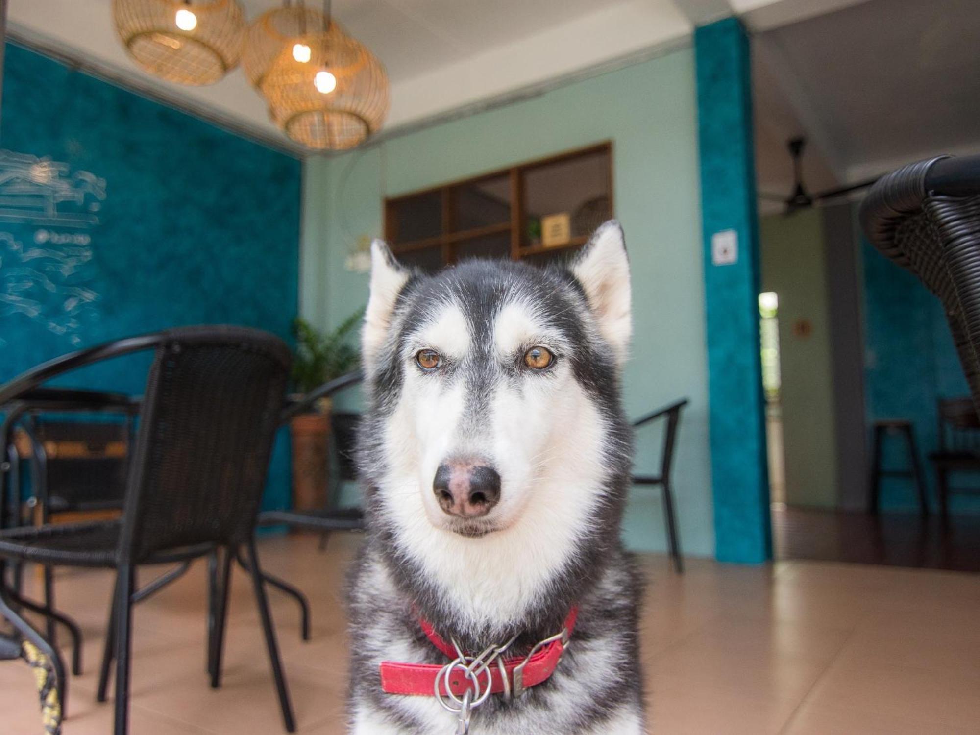 Thansila Resort Ranong Luaran gambar